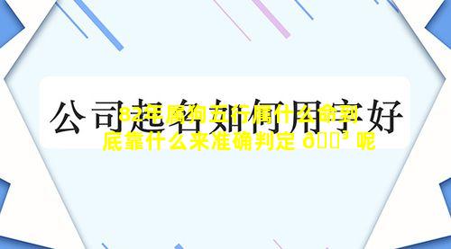 82年属狗五行属什么命到底靠什么来准确判定 🐳 呢